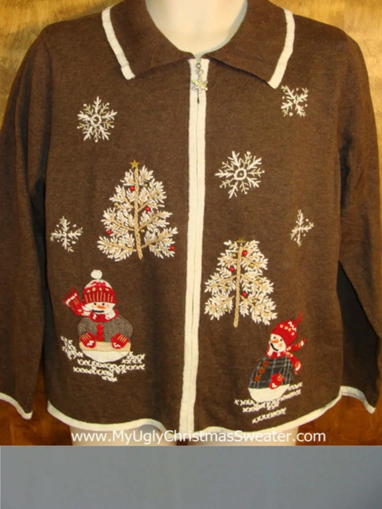 Cute Brown Holiday Sweater in Winter