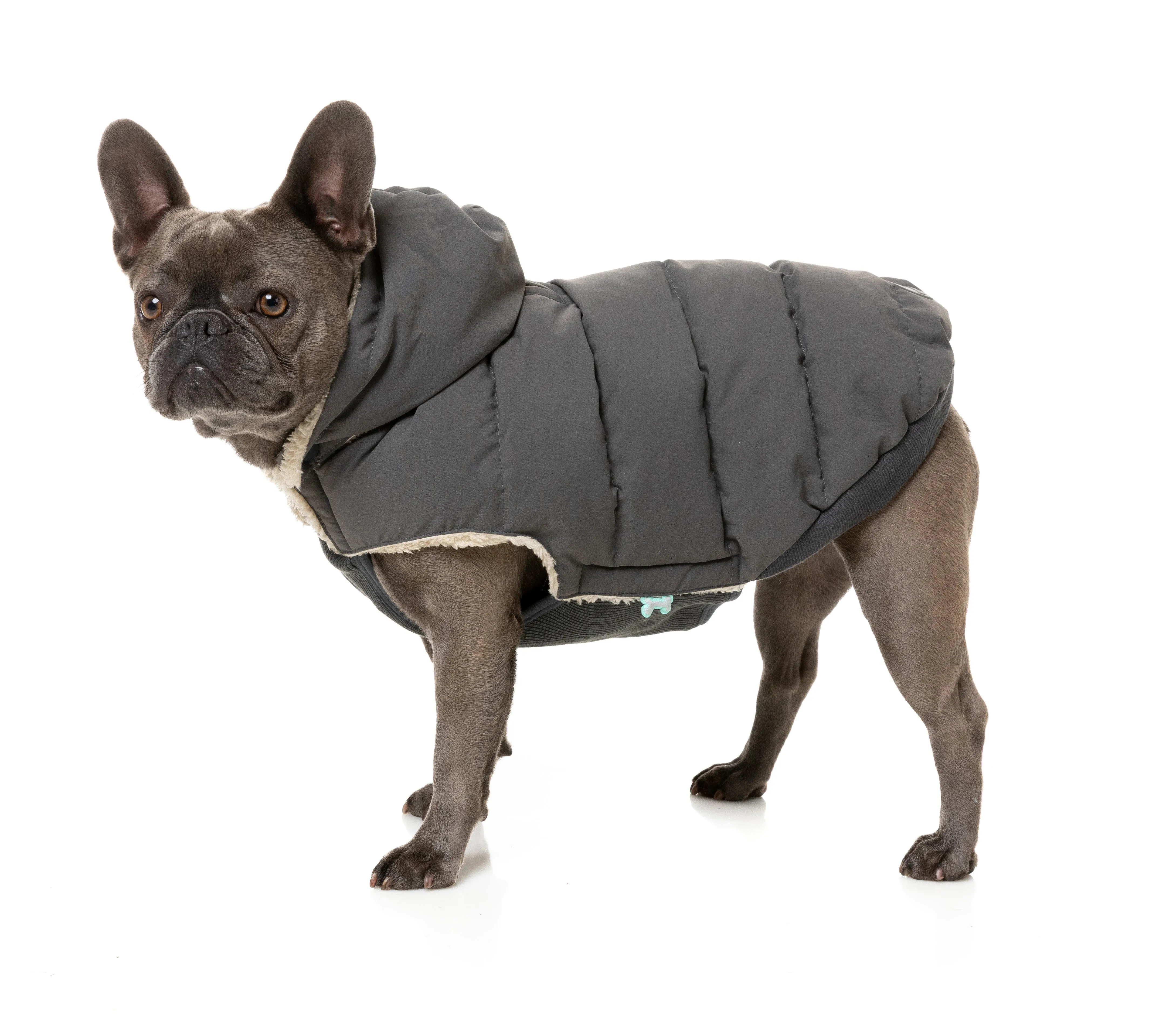 FuzzYard Essential Puffer Dog Jacket Charcoal