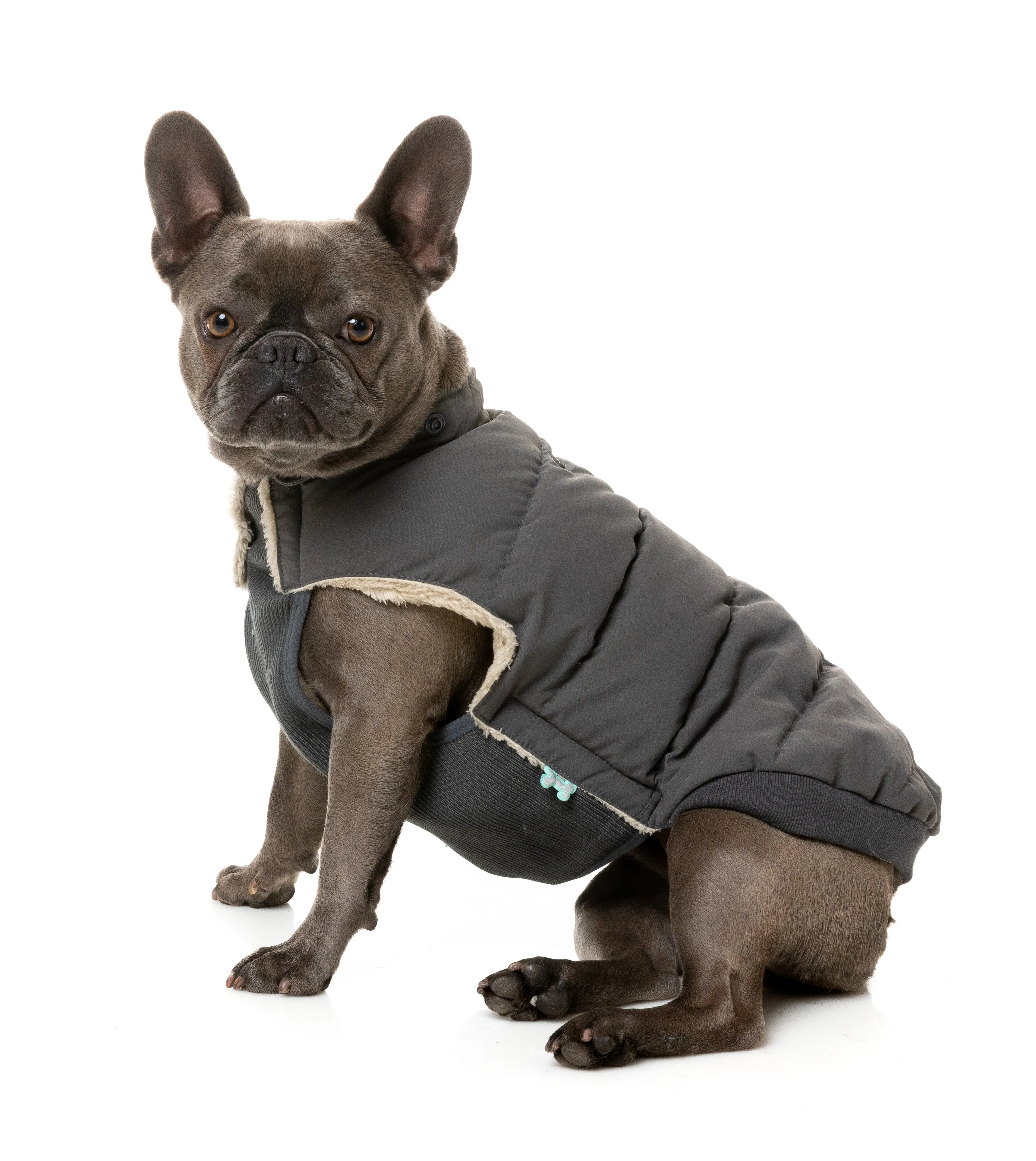 FuzzYard Essential Puffer Dog Jacket Charcoal